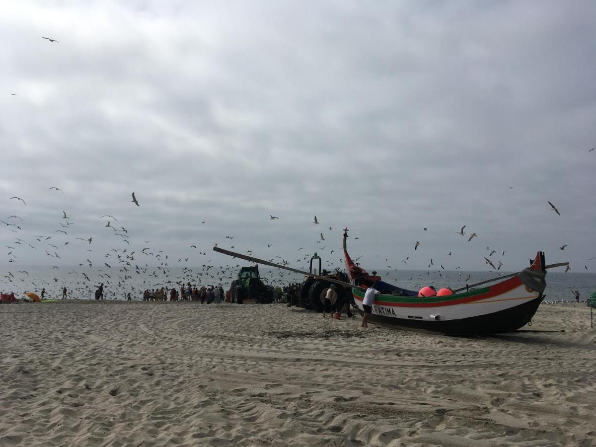 Moradia Proxima Da Praia Do Areinho, Na Ria, E Praia Dos Marretas Ovar Buitenkant foto